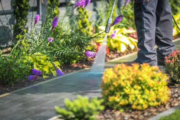 Best Parking Lot and Garage Cleaning  in Boone, IA